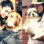 Anju Kurian Instagram – You know what I like about people ? 
Their dogs 😍❤️🙈
#innocentfaces #happinesswithin #puppiesmakemehappy #instagood #goodday #picoftheday #xoxo💋