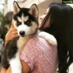 Anju Kurian Instagram - Fun time with @mocha.thealpha #puppylove🐶 #angrymocha #goodevening #instalove #gymtime #instafamily #goodday #goodvibesonly P.c - @raghav.ethan