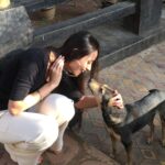 Anupriya Kapoor Instagram – Because their love is unconditional 💞 #straydogsindia #unconditionallove #straydogs #lovethem #purelove