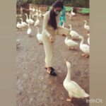 Anupriya Kapoor Instagram – The duck dance 🦆 
#happyaroundnature