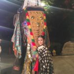 Anupriya Kapoor Instagram - 🐘🐘🐘🐘😍😍😍