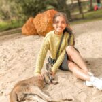 Aparnaa Bajpai Instagram - Sleeping beauty💤 #Australia #caversham #perth #kangaroo #wildlife #travel #traveller #glocalchild Perth, Western Australia