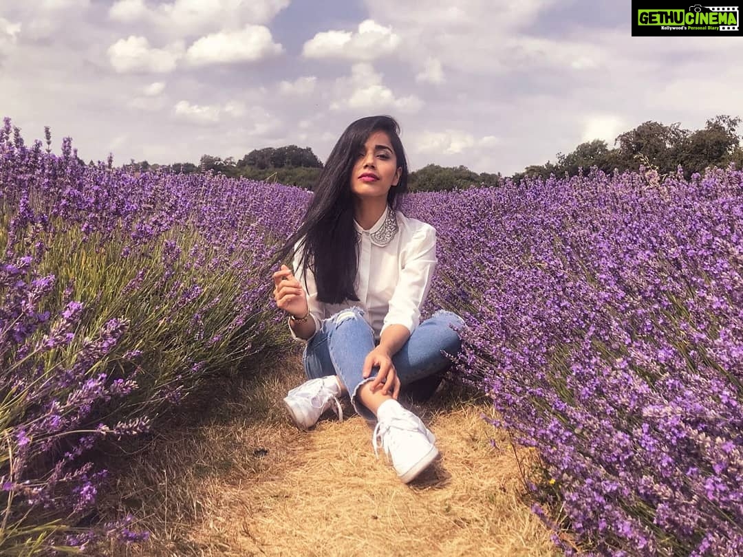 Aparnaa Bajpai Instagram - 💜 #travel #glocalchild #budapest #hungary Mayfield Lavender Field