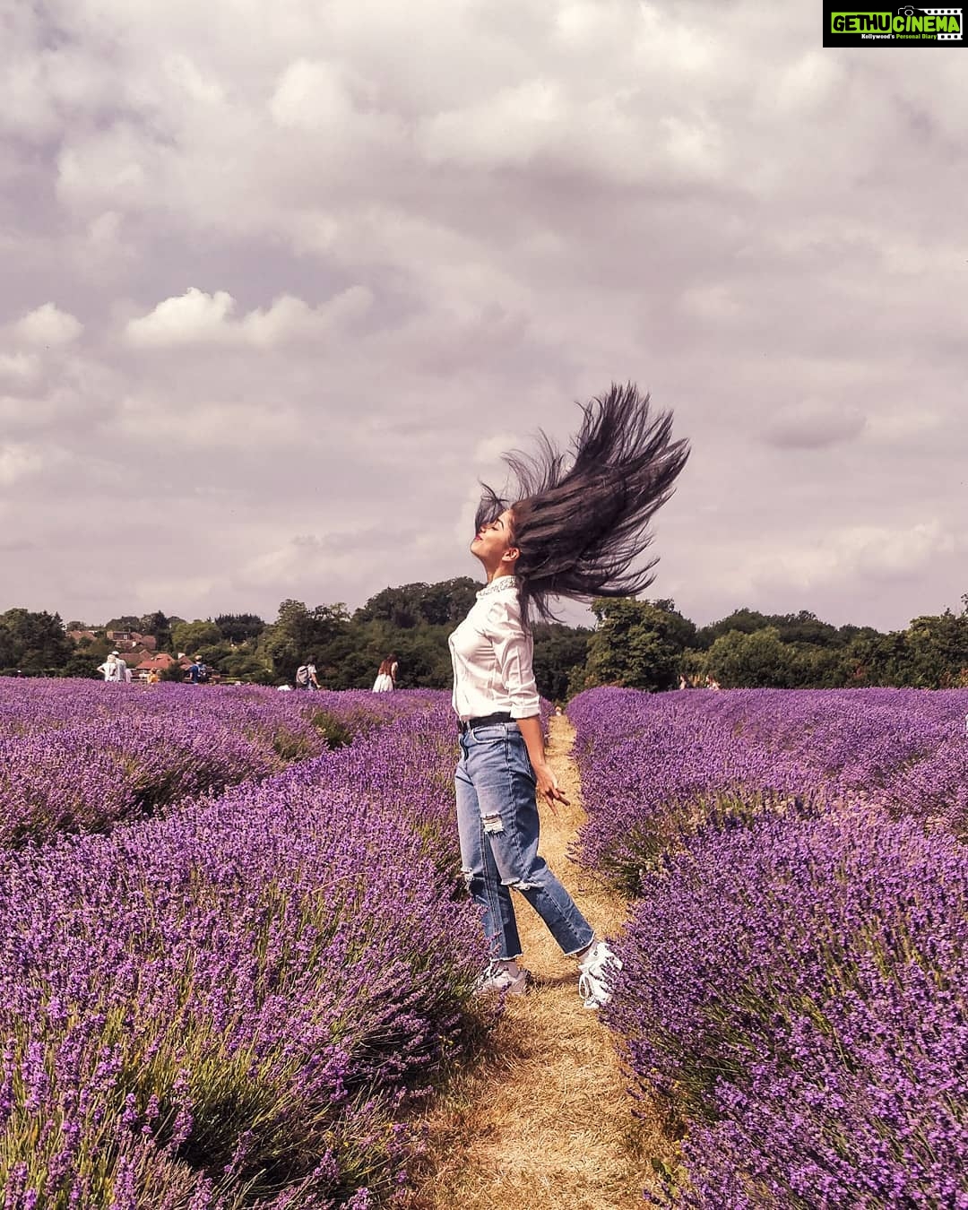 Aparnaa Bajpai Instagram - 💜 #travel #glocalchild #london Mayfield Lavender Field