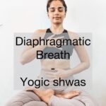 Aparnaa Bajpai Instagram - Dirgha Pranayam🧘🏼‍♀️ This Breathing technique will help you use your lungs to its fullest capacity. It enables a better supply of oxygen to all parts of your body by strengthening the Diaphgram and there by improving the quality of your breath. Releases stress & promotes relaxation. Longer & Deeper breaths also mean slower breathing rate. Improves concentration & reduces fatigue. Include it as a daily breathing excercise before you start your regular workout/yoga practice. #dirghapranayam #diaphragmaticbreathing #yogicbreathing