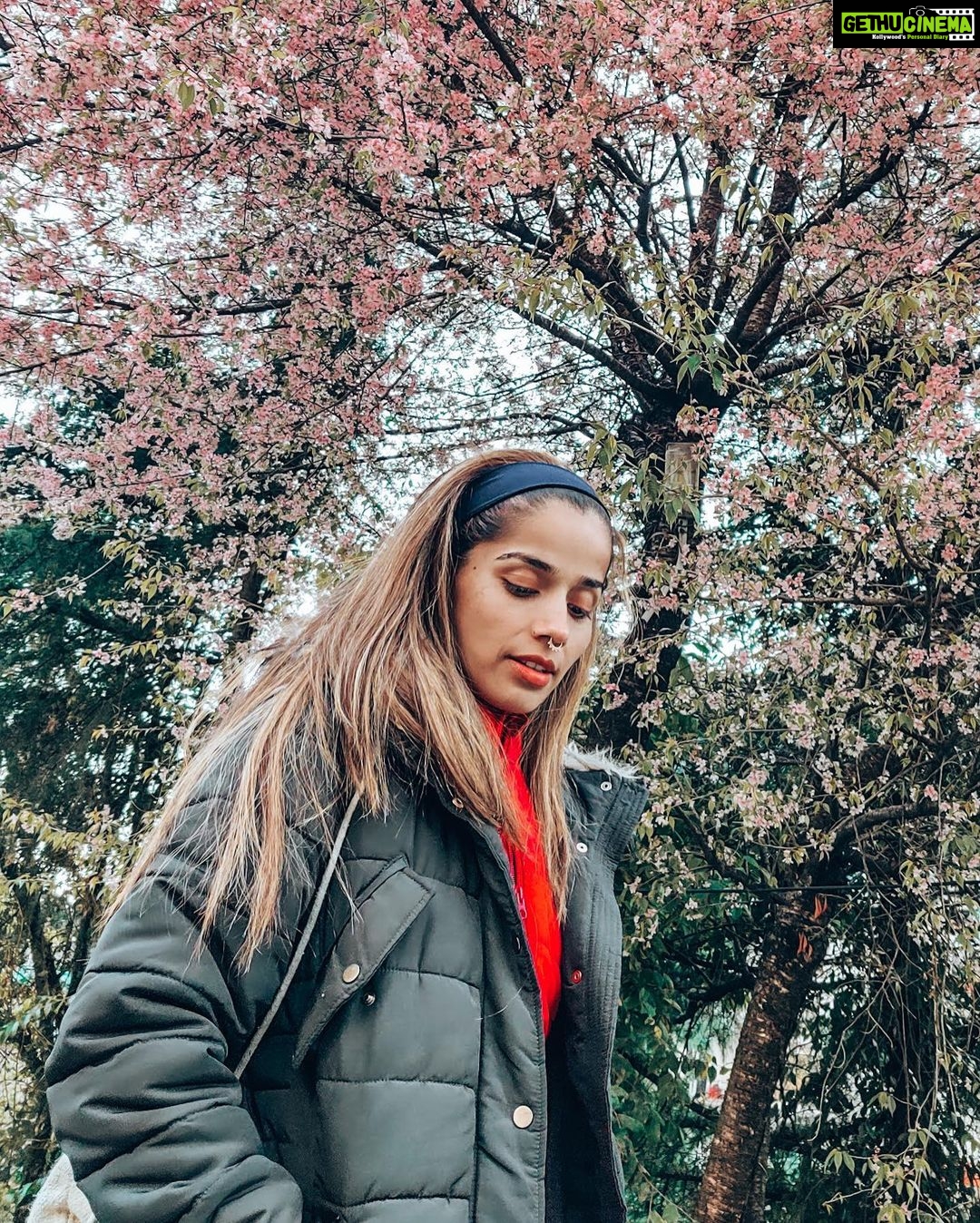 Aparnaa Bajpai Instagram - Cuz we are all meant to bloom🌸 Dharamshala Himachal Pradesh