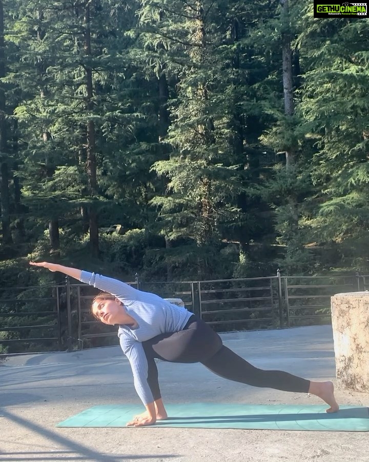 Aparnaa Bajpai Instagram - Morning detox flow (Tiwst & Churn) Practicing Vinyasa after weeeks. Sped up to 3x. Dharamkot, Himachal Pradesh