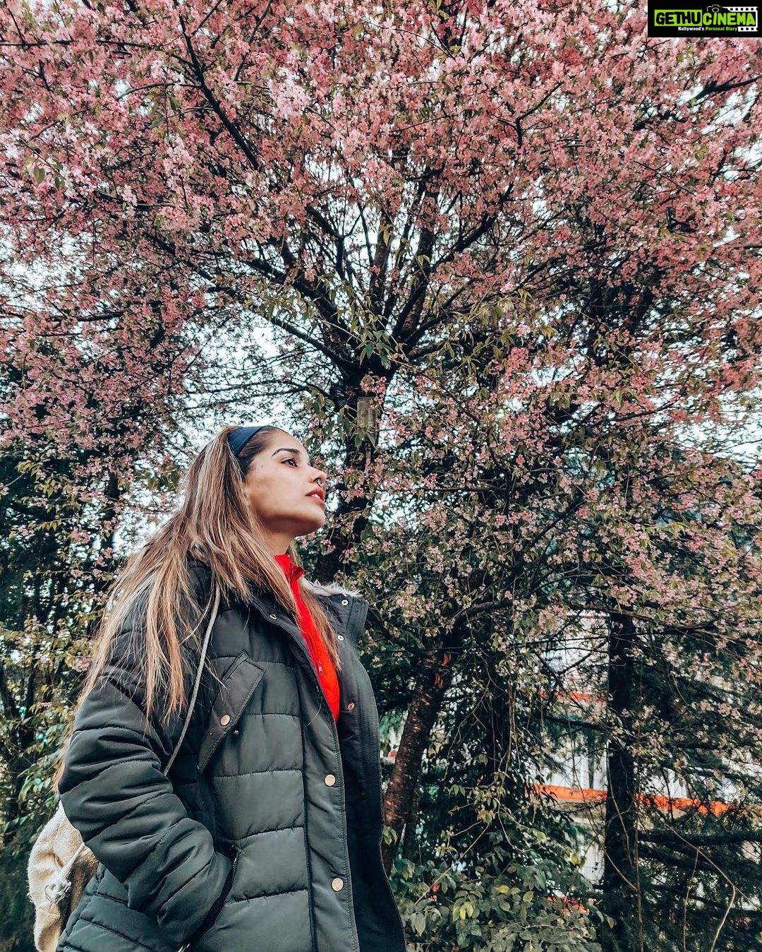 Aparnaa Bajpai Instagram - Cuz we are all meant to bloom🌸 Dharamshala Himachal Pradesh