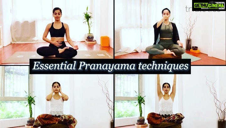 Aparnaa Bajpai Instagram - Namaste Yogis🙏🏽 A lot of you have been asking about my previous YouTube classes and not being able to find it there. Well, now you can have access to all the classes on www.trialetics.com You will still get free access to quick 15 min classes on the YouTube channel🧘🏼♀️✨