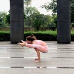 Aparnaa Bajpai Instagram - Toes up Hips down Elbows straight Gaze forward Now fly your firefly;) #titibhasana #fireflypose #yoga