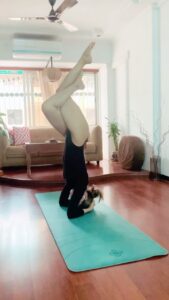 Aparnaa Bajpai Instagram - Cuz headstands are everything❤️