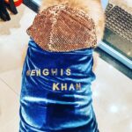 Aparnaa Bajpai Instagram - Happy Birthday Genghis Mumbai