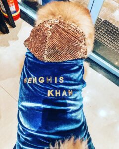 Aparnaa Bajpai Instagram - Happy Birthday Genghis