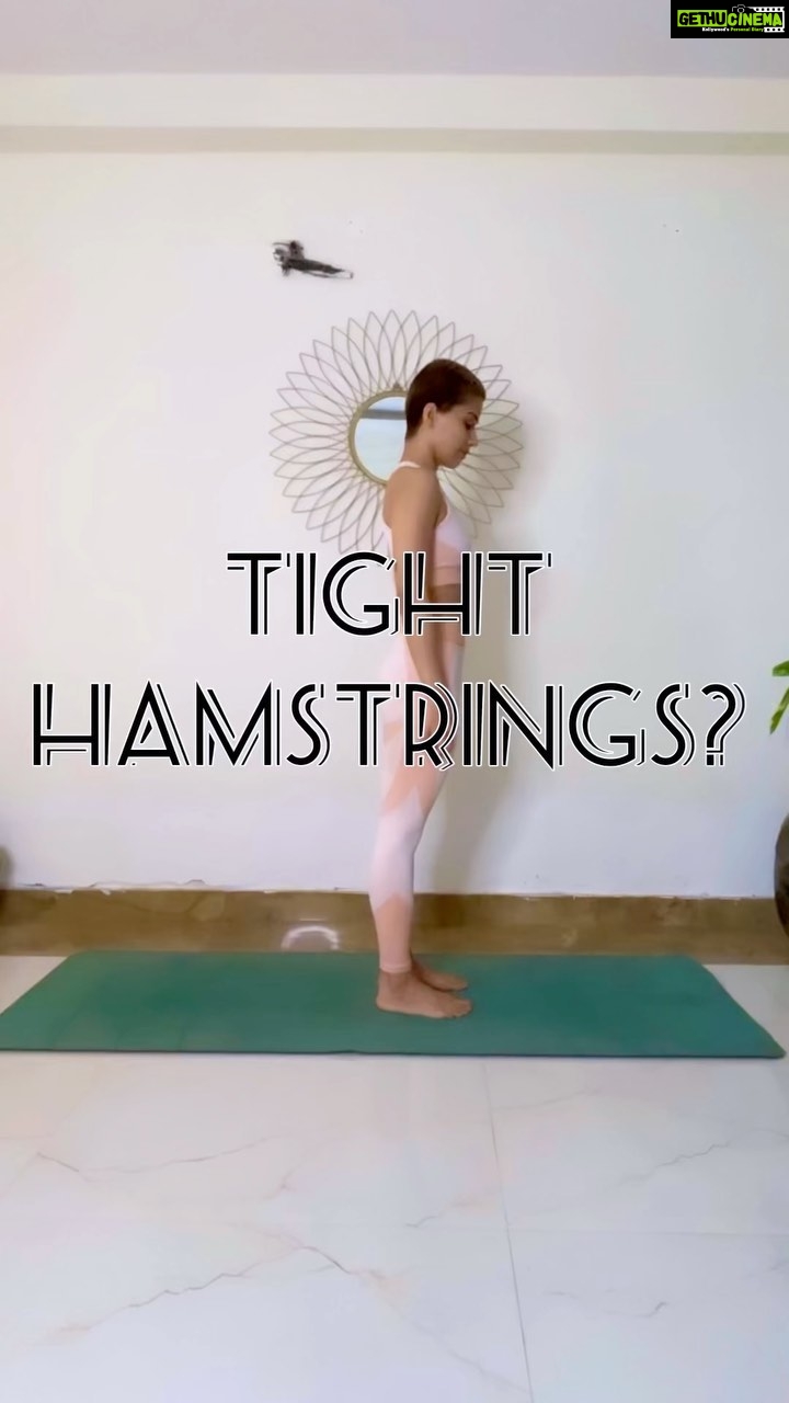 Aparnaa Bajpai Instagram - `Tight Hamstrings’ is one of the most common concerns for people, specially if the body is less flexible. Starting with these basic dynamic moves can really help in opening those tight hamstring muscles. Try it:) . . . . . . . . . . #yoga #yogagirl #yogapose #yogapractice #yogalove #yogateacher #instayoga #yogapants #hamstrings