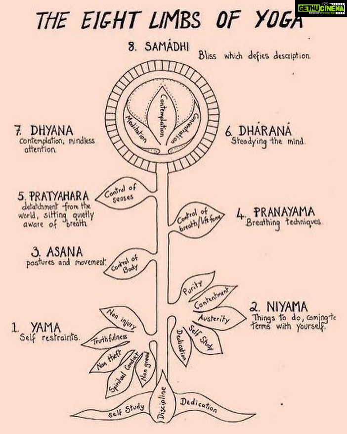 Aparnaa Bajpai Instagram - Question: I want to learn Yoga🧘🏼♀️ Answer: Read Yoga Sutras of Patanjali (Or find a teacher who teaches you that) - Question: I want to learn Asanas Answer: Sure you can find plethora of classes around (but please find a good teacher) . . . . #titibhasana #yoga #yogatutorial #yogapractice #yogajourney #yogainspiration #yogaposes #yogaathome #yogaeveryday #yogalife #yogatips #flexibleyogis #fireflypose #yogasutras #yogasana #wordsbyaparnaa