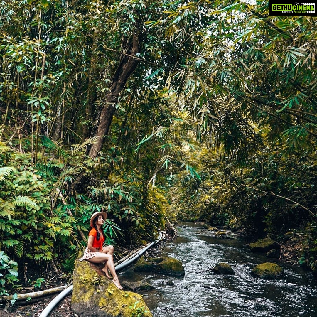 Aparnaa Bajpai Instagram - With millions of plant & animal species going extinct let’s celebrate the theme of this #worldenvironmentday ; by helping to protect & promote biodiversity!!! - There are plethora of ways where we can start making changes in our daily lives to support the nature, the planet & its species. The planet belongs as much to them, as it is to us. - I take a pledge to choose sustainable living today & always!!