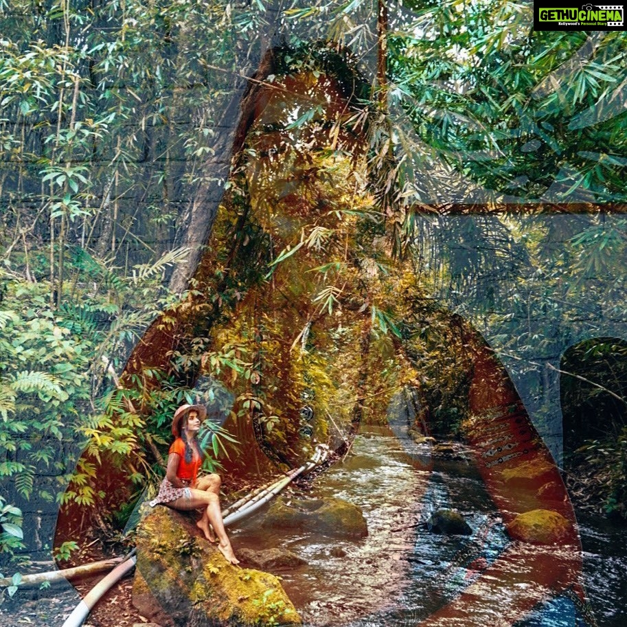 Aparnaa Bajpai Instagram - With millions of plant & animal species going extinct let’s celebrate the theme of this #worldenvironmentday ; by helping to protect & promote biodiversity!!! - There are plethora of ways where we can start making changes in our daily lives to support the nature, the planet & its species. The planet belongs as much to them, as it is to us. - I take a pledge to choose sustainable living today & always!!