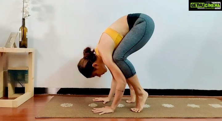 Aparnaa Bajpai Instagram - “The process of self-healing is the privilege of every being. Self-healing is not a miracle, nor is self-healing a dramatization of the personality as though you could do something superior. Self-healing is a genuine process of the relationship between the physical and the infinite power of the soul.” — Harbhajan Singh Yogi - Rightly said, Self healing is not something superior. It is a conscious effort which doesn’t happen overnight. It’s a challenging, difficult and often a lonely journey. Where you falter, fall and get up again. But the beauty is to continue on the journey. The pain soon releases in to awareness, of self and love. - I take full responsibility of healing my past pains and trauma with courage, love & patience. I gift myself my awareness & energy & the Now😇 . . . #Bakasana #crowpose #cranepose #yoga #yogainspiration #yogapractice #yogaeverydamnday #yogaanywhere #yogagirl #yogi #yogalife #yogalove #yogalover #yogachallenge #yogalifestyle #yogatime #yogagram #yogaflow