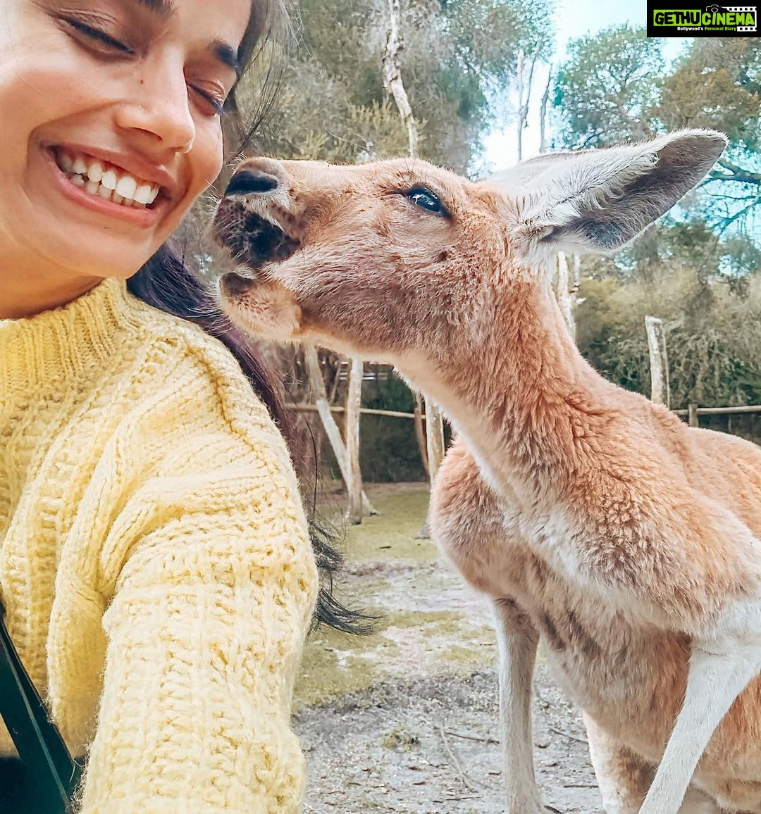 Aparnaa Bajpai Instagram - Australia is burning!!! Millions of acres of land is burnt. Millions of animals are killed. This catastrophe is going on for months now and we can not be sleeping. As the citizens of this planet, taking shelter and using the resources from the planet, We as a collective have a responsibility towards it. These poor animals can not save themselves and the least we can do is spread awareness for their lives, for Australia, for our Planet, for our Future. Those who can donate, please find a link on all the pages listed below:- @redcrossau @currumbinwildlifehospital @nswrfs (Every little penny counts) . . . #saveaustralia #australia #australiafires #savetheplanet #climatechange #spreadawareness #bushfire