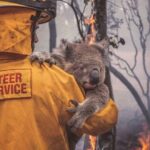 Aparnaa Bajpai Instagram - Australia is burning!!! Millions of acres of land is burnt. Millions of animals are killed. This catastrophe is going on for months now and we can not be sleeping. As the citizens of this planet, taking shelter and using the resources from the planet, We as a collective have a responsibility towards it. These poor animals can not save themselves and the least we can do is spread awareness for their lives, for Australia, for our Planet, for our Future. Those who can donate, please find a link on all the pages listed below:- @redcrossau @currumbinwildlifehospital @nswrfs (Every little penny counts) . . . #saveaustralia #australia #australiafires #savetheplanet #climatechange #spreadawareness #bushfire