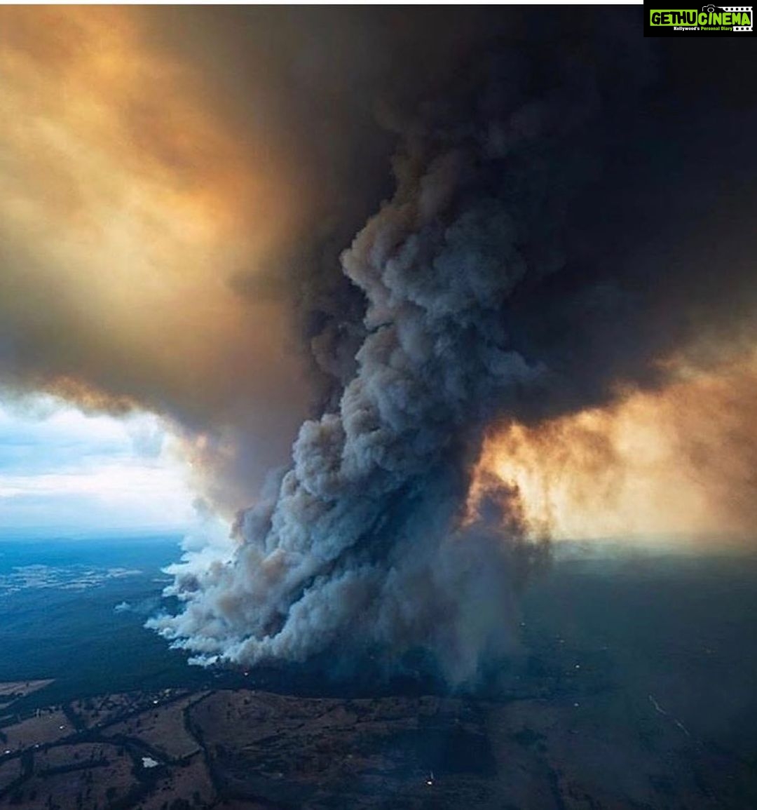 Aparnaa Bajpai Instagram - Australia is burning!!! Millions of acres of land is burnt. Millions of animals are killed. This catastrophe is going on for months now and we can not be sleeping. As the citizens of this planet, taking shelter and using the resources from the planet, We as a collective have a responsibility towards it. These poor animals can not save themselves and the least we can do is spread awareness for their lives, for Australia, for our Planet, for our Future. Those who can donate, please find a link on all the pages listed below:- @redcrossau @currumbinwildlifehospital @nswrfs (Every little penny counts) . . . #saveaustralia #australia #australiafires #savetheplanet #climatechange #spreadawareness #bushfire