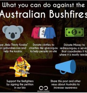 Aparnaa Bajpai Instagram - Australia is burning!!! Millions of acres of land is burnt. Millions of animals are killed. This catastrophe is going on for months now and we can not be sleeping. As the citizens of this planet, taking shelter and using the resources from the planet, We as a collective have a responsibility towards it. These poor animals can not save themselves and the least we can do is spread awareness for their lives, for Australia, for our Planet, for our Future. Those who can donate, please find a link on all the pages listed below:- @redcrossau @currumbinwildlifehospital @nswrfs (Every little penny counts) . . . #saveaustralia #australia #australiafires #savetheplanet #climatechange #spreadawareness #bushfire