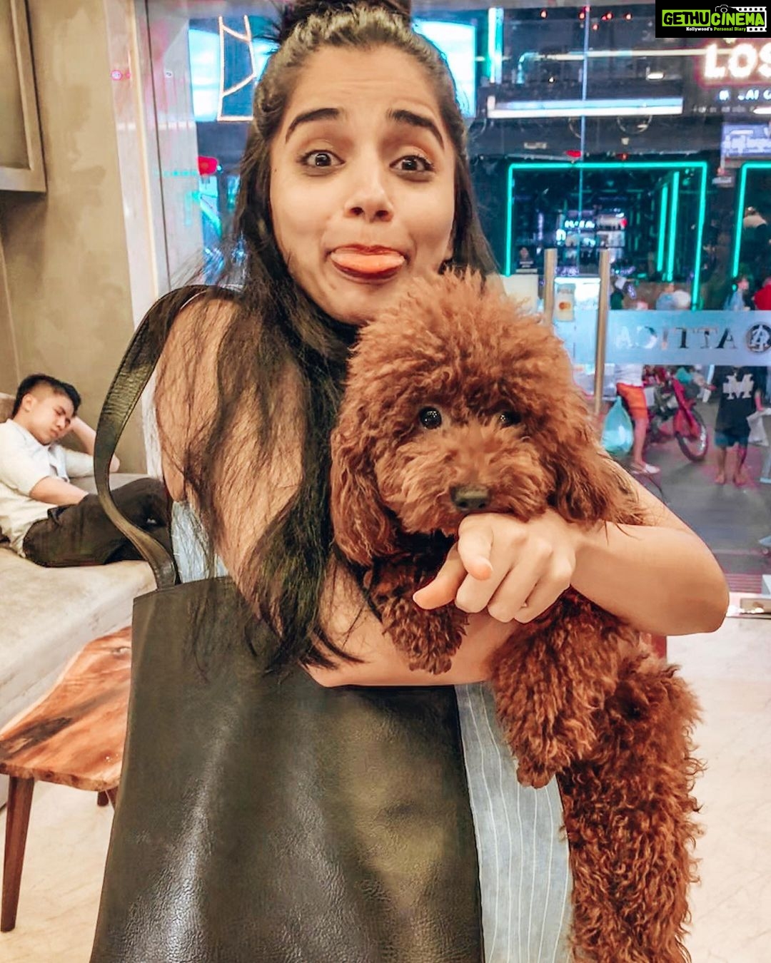 Aparnaa Bajpai Instagram - Well, since my `Bahamas pig beach’ trip has still not materialized, I am holding on to this cute little munchkin. It’s really difficult to easily find pigs and show some love to them cuz mostly all of them end up on plates or in the farms ready to get slaughtered. It’s so funny that when the worlds were found & the more powerful ones with the guns and superior technology went on enslaving the weaker ones, we challenged & fought every act of oppression on the face of this earth, wanting our freedom, our lives & our dignity back. Racism, classism, sexism are few of the Bias-is we rebelled. But such is irony, wearing a fake armor of morality, specism is what we propagandized. PS: speaking on behalf of the voiceless!! . . . #specism #sentientbeings #animals #crueltyfree #animalsarenotfood #vegan #veganism #animallove #dog #dogsofinstagram #pig #pigslove #bahamaspigbeach Vietnam