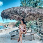 Aparnaa Bajpai Instagram - Seychelles is definitely a paradise on Earth with pristine beaches and nature untouched. The government over here would not allow you to go beyond a certain number of restaurants cuz of the low population on the island. Also, the botanical gardens of Coco De Mer: sole species of sea coconut found in Seychelles is very nicely conserved and you’re not allowed to trade or market this wonderful fruit cuz of its extinction. What’s interesting is that Seychelles is a world heritage site and any kind of destruction, business or trade of the Nature results in jail. I was stopped at the luggage screening where they suspected, I am taking a part of their coconut😂 Courtesy; my coconut bag which I bought from Mozambique: Africa !!! . . . #cocodemer #tortoise #turtles #worldheritagesites #seychelles #curieuseisland #travel #traveller #travelbucketlist #planetearth #nature #sea #ocean #