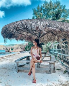 Aparnaa Bajpai Instagram - Seychelles is definitely a paradise on Earth with pristine beaches and nature untouched. The government over here would not allow you to go beyond a certain number of restaurants cuz of the low population on the island. Also, the botanical gardens of Coco De Mer: sole species of sea coconut found in Seychelles is very nicely conserved and you’re not allowed to trade or market this wonderful fruit cuz of its extinction. What’s interesting is that Seychelles is a world heritage site and any kind of destruction, business or trade of the Nature results in jail. 
I was stopped at the luggage screening where they suspected, I am taking a part of their coconut😂 Courtesy; my coconut bag which I bought from Mozambique: Africa !!!
.
.
.
#cocodemer #tortoise #turtles #worldheritagesites #seychelles #curieuseisland #travel #traveller #travelbucketlist #planetearth #nature #sea #ocean #