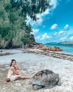 Aparnaa Bajpai Instagram - Chilling with the tortoise🐢
Just me and him❤️
.
.
.
#seychelles #praslinisland #curieuse #turtles #tortoise #travel #traveller #travelbucketlist