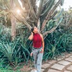 Aparnaa Bajpai Instagram - No I don’t pray to a specific God and my religion is Mother Nature😇 Before the arrival of Portuguese and thus conversion to Christianity, the indigenous people of Mozambique prayed to the Nature💛 They found a big tree and built a home around it and prayed to the tree during rains, famine and sickness. They had their own traditional way of worshipping to, what they called God! I think this is beautiful. This is the core of our existence and it’s such a shame that we humans have reached a point of greed, where we are ready to exploit all the resources & tear apart our own planet earth. . . . “From the soil we have come, to the soil we shall go and from the soil we want to live” :~Marcelin Albert . . . “Earth can provide enough to satisfy everyone’s need but not everyone’s greed” :~ Mahatma Gandhi . . . #maputo #mozambique #travel #planetearth #nature #worldenvironmentday Maputo, Mozambique
