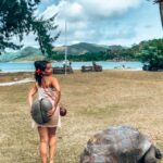 Aparnaa Bajpai Instagram - Swipe left to see my Memories from Seychelles🇸🇨 •World heritage sights🎗 •french speaking🇫🇷 •bob marley vibe👅 •conservation of coco de mer🍑 •nature preserved🌱 •care for tortoises 🐢 •pristine beaches: clear water🌊 •white sand👙 •birds flocking around🐦 •less pollution ⛴ •transportation not easy🚘 •quite expensive💵 . . . #africa #seychelles #snorkeling #victoria #travelbucketlist #travelgram #travelblogger #worldgeritagesight #cocodemer