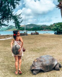 Aparnaa Bajpai Instagram - Swipe left to see my Memories from Seychelles🇸🇨
•World heritage sights🎗
•french speaking🇫🇷
•bob marley vibe👅
•conservation of coco de mer🍑
•nature preserved🌱
•care for tortoises 🐢
•pristine beaches: clear water🌊
•white sand👙
•birds flocking around🐦
•less pollution ⛴
•transportation not easy🚘
•quite expensive💵
.
.
.
#africa #seychelles #snorkeling #victoria #travelbucketlist #travelgram #travelblogger #worldgeritagesight #cocodemer
