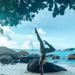 Aparnaa Bajpai Instagram - Swipe left to see my Memories from Seychelles🇸🇨 •World heritage sights🎗 •french speaking🇫🇷 •bob marley vibe👅 •conservation of coco de mer🍑 •nature preserved🌱 •care for tortoises 🐢 •pristine beaches: clear water🌊 •white sand👙 •birds flocking around🐦 •less pollution ⛴ •transportation not easy🚘 •quite expensive💵 . . . #africa #seychelles #snorkeling #victoria #travelbucketlist #travelgram #travelblogger #worldgeritagesight #cocodemer