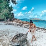 Aparnaa Bajpai Instagram - Chilling with the tortoise🐢 Just me and him❤️ . . . #seychelles #praslinisland #curieuse #turtles #tortoise #travel #traveller #travelbucketlist Curieuse Island