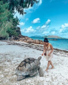 Aparnaa Bajpai Instagram - Chilling with the tortoise🐢
Just me and him❤️
.
.
.
#seychelles #praslinisland #curieuse #turtles #tortoise #travel #traveller #travelbucketlist