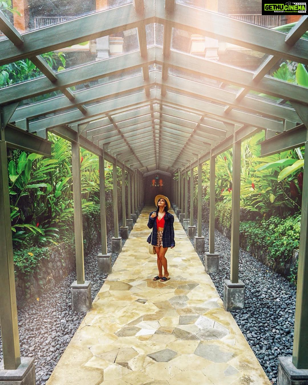 Aparnaa Bajpai Instagram - The wound is the place where the light enters you~ Rumi . . . #travelshot #travel #travelphotography #travelgram #bali Padma Resort Ubud