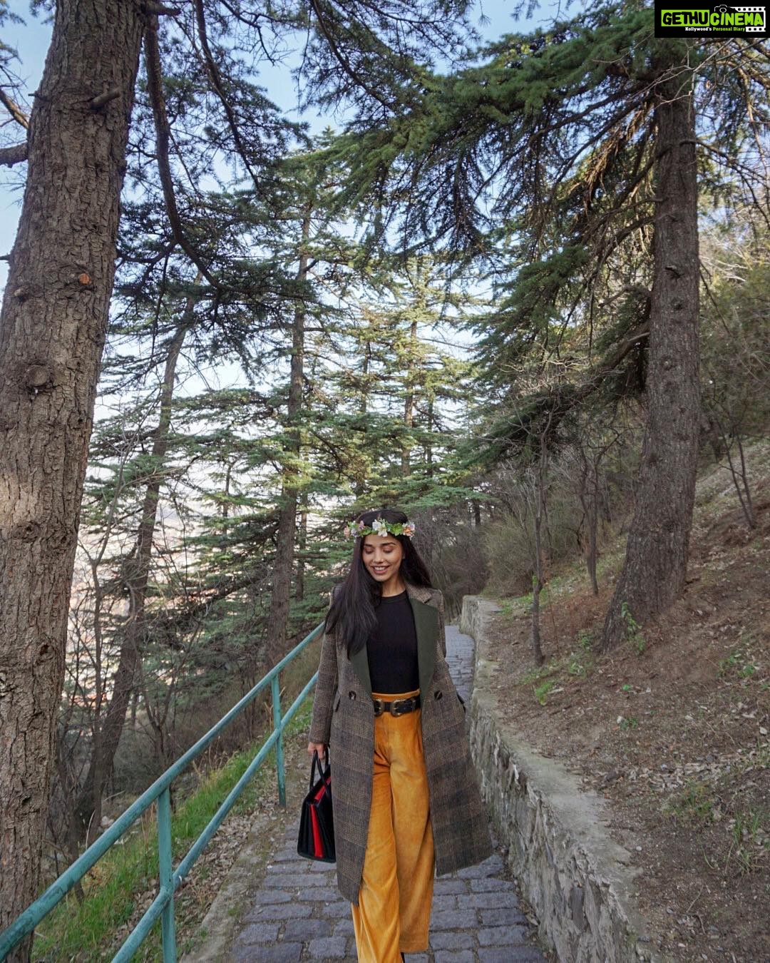 Aparnaa Bajpai Instagram - When morning walks be like this💕 #travel #georgia #tbilisi Tbilisi, Georgia
