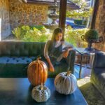 Aparnaa Bajpai Instagram - I put a spell on you because you're mine.. Trick Or Treat?? #travel #traveller #mytravelstories #glocalchild #travelbucketlist #travelholic #travelgram #travelshot #blogger #canada #toronto #montreal #halloween Canada