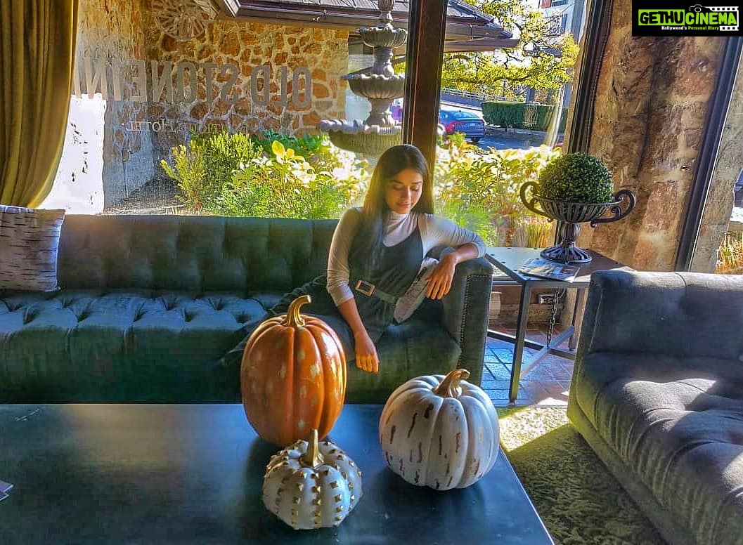 Aparnaa Bajpai Instagram - I put a spell on you because you're mine.. Trick Or Treat?? #travel #traveller #mytravelstories #glocalchild #travelbucketlist #travelholic #travelgram #travelshot #blogger #canada #toronto #montreal #halloween Canada