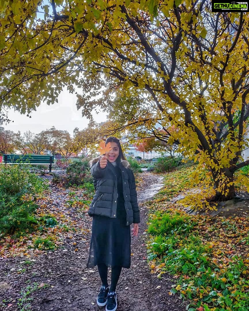 Aparnaa Bajpai Instagram - Hello November 🍁 #travel #traveller #blogger #glocalchild #mytravelstories #travelbucketlist #travelholic #travelgram #travelshot #goglocal #mapleleaf #toronto #montreal #canada Canada