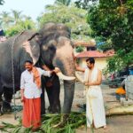 Aravind Akash Instagram - One of my best day of my journey to guruvayoor temple bless you all 😊🙏🏻🤞🏻🤘🏻