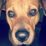 Aravind Akash Instagram - Bruce lee the man