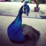 Aravind Akash Instagram -
