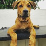 Aravind Akash Instagram -