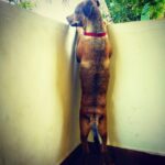 Aravind Akash Instagram -