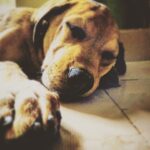 Aravind Akash Instagram -