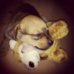 Aravind Akash Instagram -
