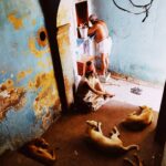 Ashish Vidyarthi Instagram - A summer morning in Varanasi Dashashwamedh Ghat