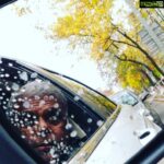 Ashish Vidyarthi Instagram – Gawking the fall colours.. First sights of the new visitor Prague